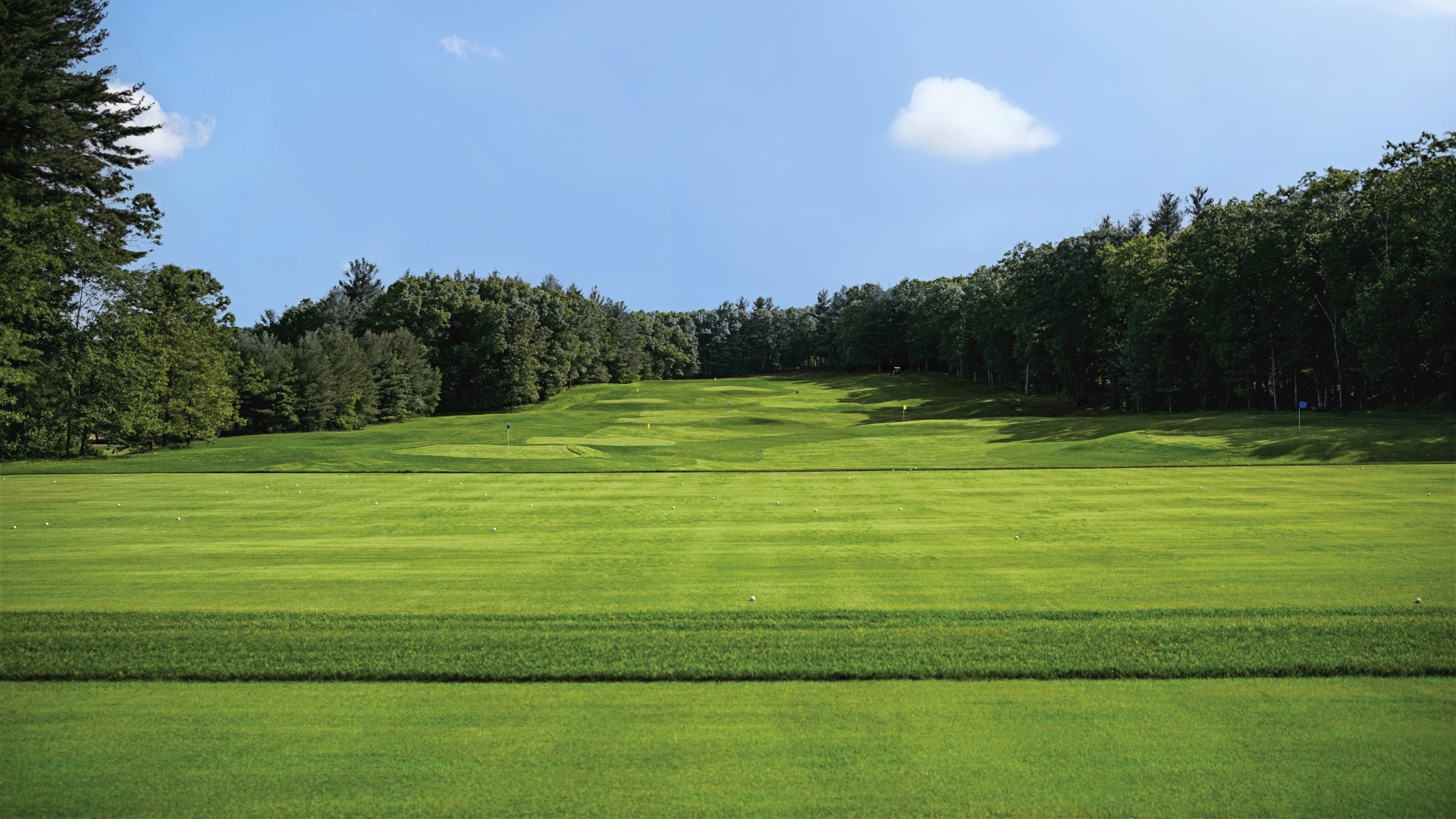 Golf green at The International